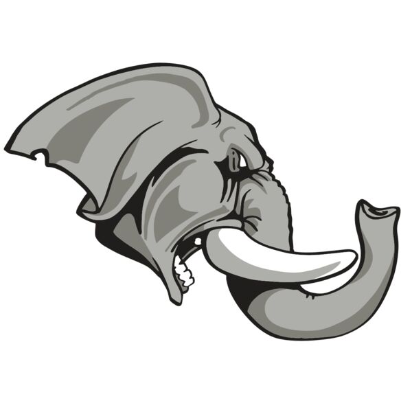 AR ELEPH 20 RC Thumbnail