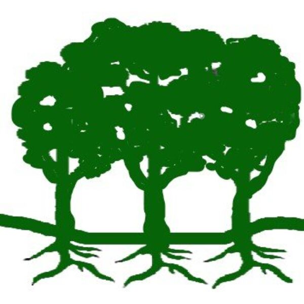 dance for trees logo1 grn sq1 Thumbnail